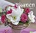 times&more Blumen Bildkalender - Kalender 2017 by
