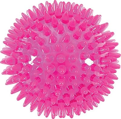 Zolux Picot Pop Jouet Balle pour Chien Framboise Diamètre 13 cm