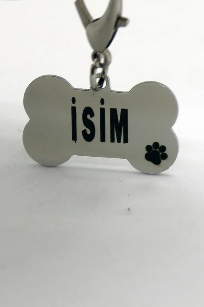 caramelos Çelik Metal Köpek Künyesi GÜMÜŞ RENGİ-Tek Ebat