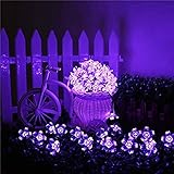 Kyson Guirlande lumineuse solaire de 50 LED en forme de fleurs Violet 5 mètres Utilisation en extérieur, jardin pour fêtes, Noël, plein air, décoration, etc.