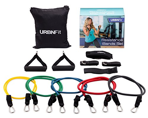 Resistance Bands Set with Door Anchor, Ankle Strap, Exercise Guide, and Carying Case (Pro Series)