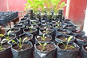 Dharti Enterprise Plastic UV Protected Grow Bag, Black, 18 x 18 in