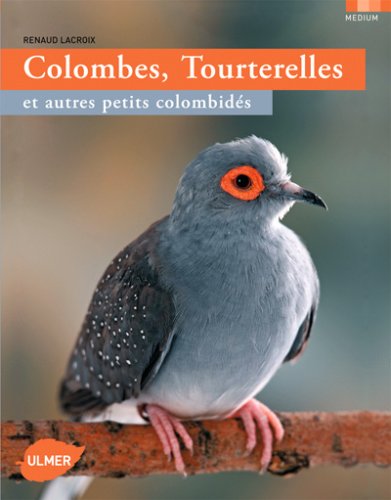 Télécharger Colombes, tourterelles et autres petits colombidés PDF