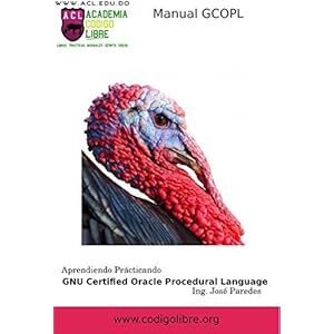 Manual Aprendiendo Practicando Oracle PLSQL