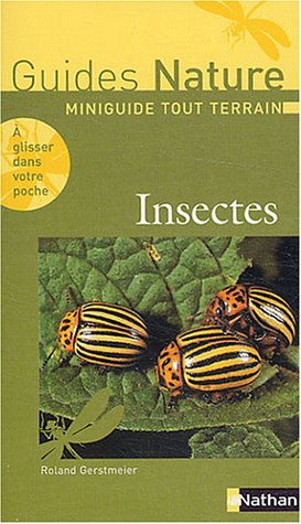 Insectes en ligne Insectes en ligne