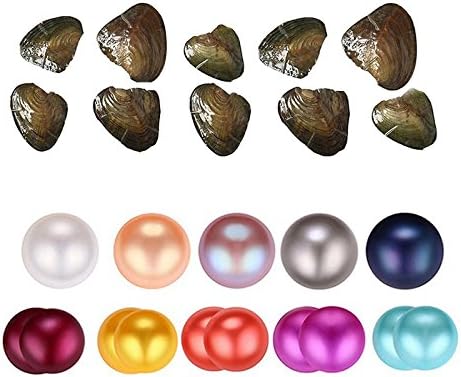 10pcs Love Wish Pearl Oyster Twins/Single Pearl Inside Freshwater Cultured 6-8mm AA Grade, Colourful Pearls In Oyster Mothers Day Gift (Single Pearl Oyster X5 + Twins Pearl Oyster X5)