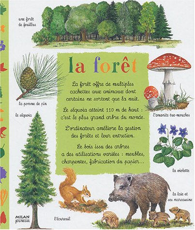 couverture de : La For&ecirc;t