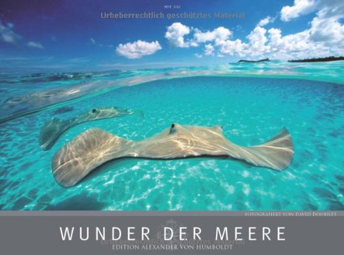 Wunder der Meere 2013
