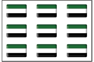 ARTIMAGEN Pegatina Bandera Rectángulo 9 uds. Extremadura RESINA 16x11 mm/ud.