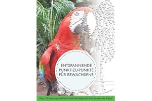 Entspannende punkt-zu-punkte für erwachsene