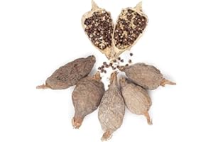 CBÊ (CHEZ BIEN-ÊTRE) Piment Alligator Entier Lot de 6 – Piment de Guinée – Graines de Paradis Naturelles – Maniguette Séchée Origine Bénin – Épice Africaine Authentique – Sachet Kraft Refermable – 100% Pur & Non Traité