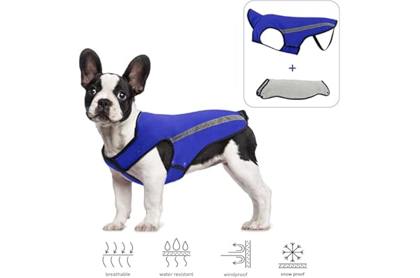 dog jackets amazon
