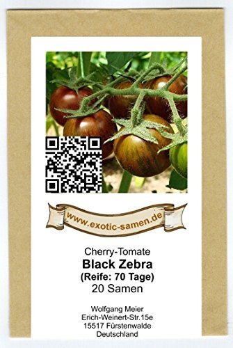 NEUHEIT! Black Zebra Cherry-Tomate – 20 Samen - 2