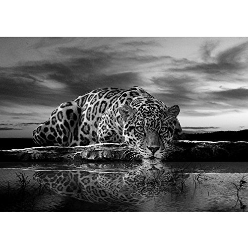 Vlies Fototapete PREMIUM PLUS Wand Foto Tapete Wand Bild Vliestapete - Leopard Wasser Himmel - no. 3560, Größe: 368 x 254 cm Vlies