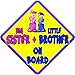 (SUN) BIG SISTER + LITTLE BROTHER ON BOARD (like baby on board sign) Non Personalised novelty baby on board car window sign.