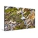 Produktbild Calvendo Premium Textil-Leinwand 75 cm x 50 cm Quer, Schwarzbrauenalbatros (Thalassarche melanophris) zieht Seine Runden im Karukinka Park | Wandbild, Bild auf Karukinka Park, Chile Orte Orte