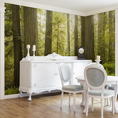 Vliestapete Premium – Redwood State Park Waldblick – Fototapete Breit Vlies Tapete Wandtapete Wandbild Foto 3D Fototapete, Größe HxB: 320cm x 480cm - 4