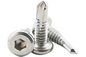 Fajoeda 60 Stück Flachkopf Innensechskantschrauben Bohrschrauben,410 Edelstahl 5.5 X 19mm Selbstschneidende Schraube(16mm bis 38mm verfügbar,Silber)