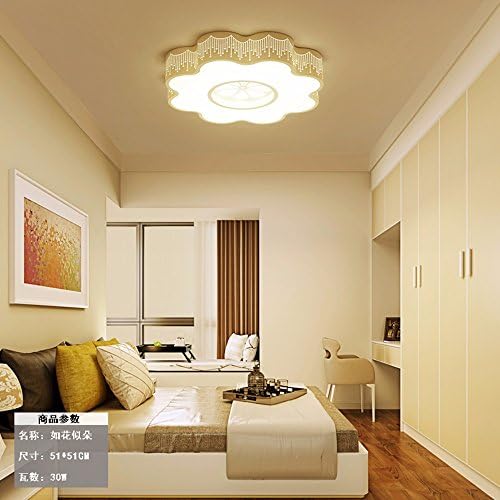 MeloveCc ceiling lights Modern Ledin Bedroom Living Room The Minimalist Style Restaurant Children'S Room And Are Decorated With Light Decor Acrylic Creativity Iron Such As Flowers And Latte Macchiato White Light 51Cm+30W