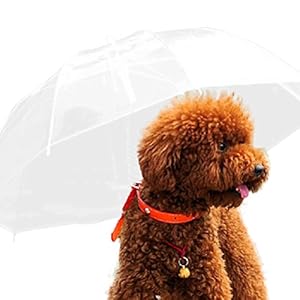 Cosanter 1x Paraguas Transparente Paraguas para Perro Dog Raincoats Traction Rope Con Cremallera Impermeable Paraguas Suministros de Mascotas Apto para Perros Pequeños
