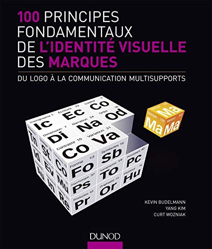 Télécharger 100 principes fondamentaux de l'identité visuelle des marques PDF Ebook En Ligne