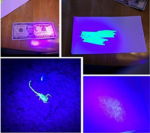 OxyLED UV Schwarzlicht,UV Taschenlampe,51 LED UV Fackel Schwarzlicht Haustier Urin-Detektor,für Hunde,Katzen. eingetrocknete Urin– Flecken auf Teppichen, Flecken und Krabbeltier insZimmer und Bett, falsche Banknote - 3