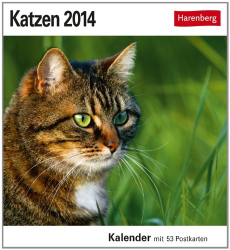 Katzen 2014: Sehnsuchts-Kalender. 53 heraustrennbare Farbpostkarten