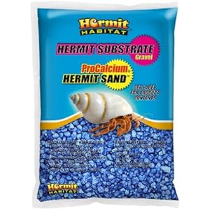 schattenkolibri Habitat Terrarium Substrat, Schlosserhammer, Normalstahl, marine blau