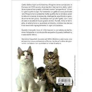 Il gatto angora turco. Storia, caratteristiche, cure quotidiane