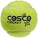 Cosco Light Weight Cricket Ball, Pack of 6 (Yellow) RS.349.00