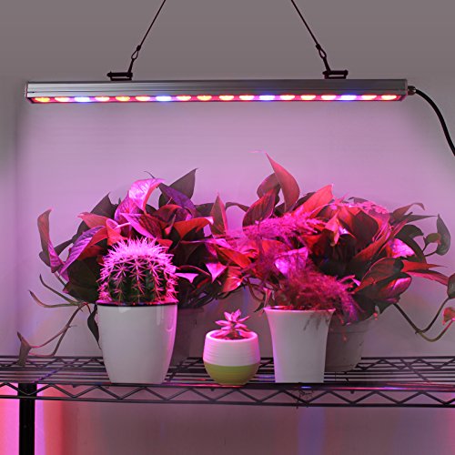 Roleadro ® 54w Led Grow Light Bar für Gewächshaus Pflanze IP65 Waterproof Blue and Red Light 550x30x30mm (1 ,54w) - 6