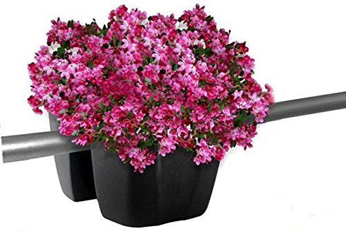 Blumenkasten Balkonkasten Geländerkasten Blumentopf Balkontopf 5 Farben 24cm (Anthrazit) - 2