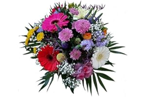 Flora Trans Blumenstrauß zum Muttertag oder einfach mal um Danke zu sagen -Blumenstrauß der Jahreszeit - Lieferung in 1-2 WERKTAGE