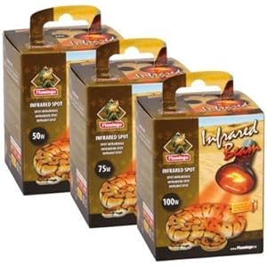 Wärmespot INFRARED BEAM 75 Watt #405734