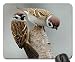 Produktbild Sperlinge. Mauspad, Mousepad (Birds Maus Pad)