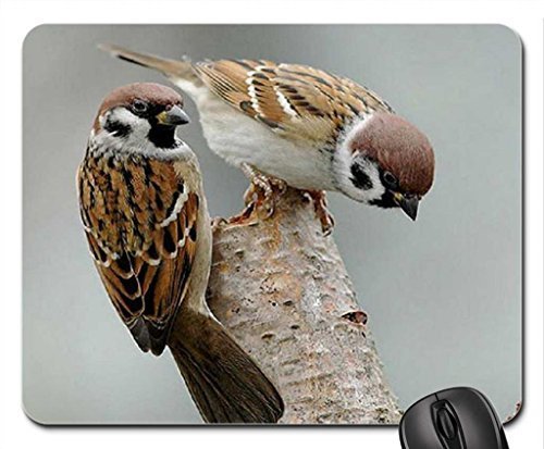 Preisvergleich Produktbild Sperlinge. Mauspad, Mousepad (Birds Maus Pad)
