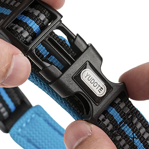 Yudote Collier Réfléchissant pour Chien Réglable Sangle en Nylon avec Rembourrage Doux en Néoprène Respirant Haute Visiblity pour Chien de Sécurité Nuit Marche