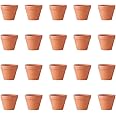 JIHUOO 20 Pcs Tiny Terracotta Pots Small Clay Pots Mini Succulent Plant Pots Nursery Flower Pots Planters with Drainage Hole 3 x 3cm