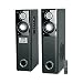 Truvison SE-111 Tower 2.0 Multimedia Speaker with USB Bluetooth FM AUX MMC RS.7999.00