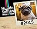 Produktbild Hunde-Selfies 2015