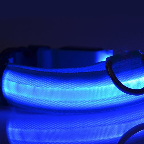 Preisvergleich Produktbild LED-Hundehalsband / Leuchthalsband aus Nylon, mit blauem Blinklicht blau