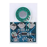 modulo de mejora de sonido para diesel Módulo de grabación de sonido - -- el módulo de grabación de música apoya la grabación de videos, archivos de tono (cualquier formatos), grabaciones de voz, teléfono, comunicaciones, etc. dentro de 30s y la reproducción de sus grabaciones con claridad Edición calidad.