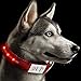 Produktbild Hunde Leuchthalsband LED Blinkhalsband Leuchtendes Halsbänder, JuzPetz Wiederaufladbare LED Hunde Sicherheits Halsband Hundehalsband Leuchtender Nacht Hundeband Reflektierende, blinkende sichtbare Kragen [Wasserbeständigkeit | 3 leuchtende Modi | Schnelle Freigabe Wölbungs] Einstellbare Hellem Halsband für Haustier mit USB Ladekabel - Mittel [34-47 cm] - Rot