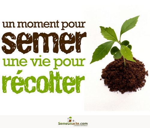 Download Un Moment Pour Semer, Une Vie Pour Recolter