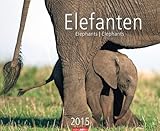 Image de Elefanten 2015