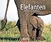 Elefanten 2015 by 