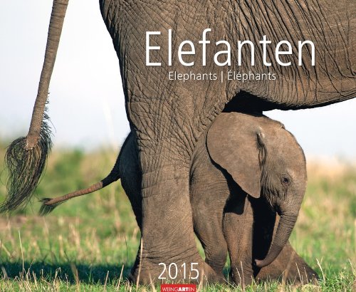 Elefanten 2015