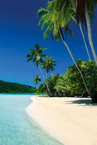 Preisvergleich Produktbild Bounty Beach Poster, 61x92