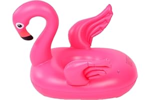 FIVEMILEBRO Anello da Nuoto Gonfiabile per Bambini, Gonfiabile Salvagente Bambini con Mutandina, Salvagente Gonfiabile per Bambini, Galleggiante per Piscina per Bambini, Salvagente, per Bambini 4-48 Mesi