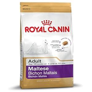 Royal canin Maltes pienso para Maltes